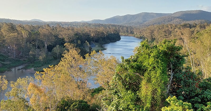 Anstead Bushland Reserve