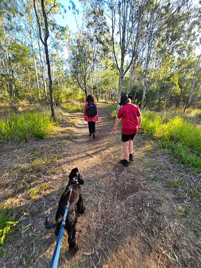 Brisbane dog walks